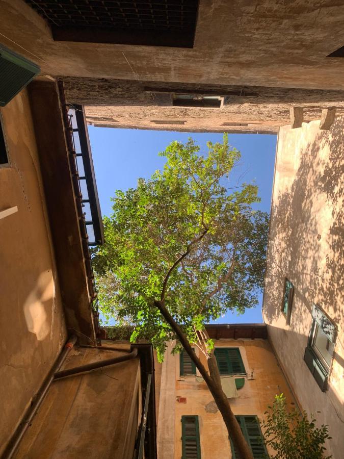 Navona Apartment Roma Esterno foto
